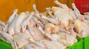 Скоро запретят ввоз мяса птицы