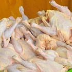 Скоро запретят ввоз мяса птицы